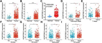 Identification and Validation of lncRNA-AC087588.2 in Lung Adenocarcinoma: A Novel Prognostic and Diagnostic Indicator